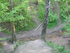 Ясеневский лес, 2004